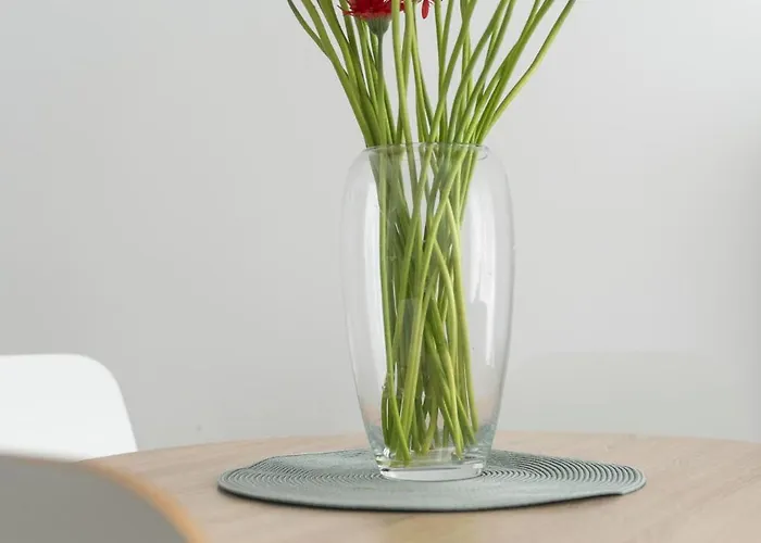 Doris 2 - 50 M Do Plaży Apartament *